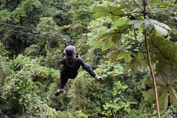 Mindo Ziplines Tours / Canopy Tour / Zip Line - The aerial tricks make the later lines more fun