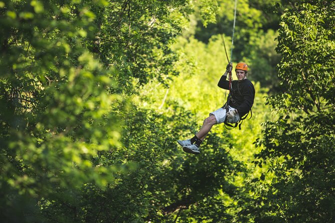 Minnesota River Valley 14-Line Thrilling Zipline Canopy Tour - The first lines: getting comfortable in the treetops