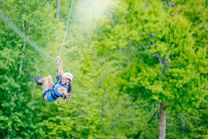 Minnesota's Premiere 7 Line Zipline Experience - Key points at a glance