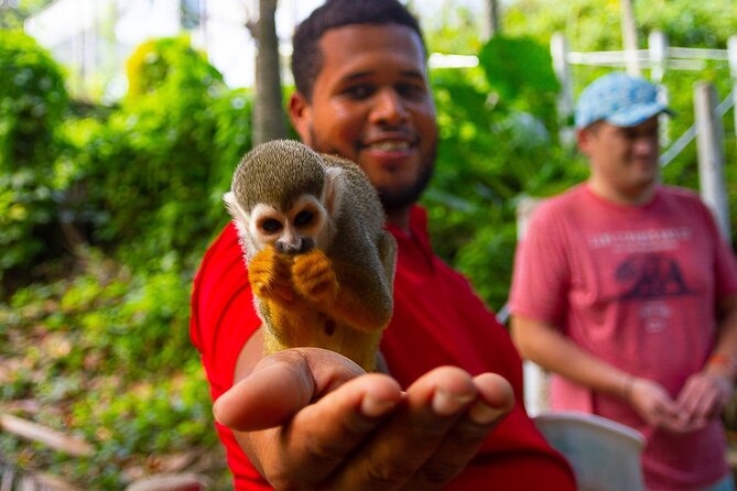 Monkey Enconter & Zip line Adventure - Key points at a glance