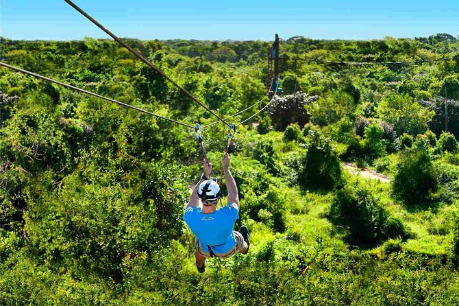 Monkey Enconter & Zip line Adventure - Monkey Jungle begins with an unusually close encounter
