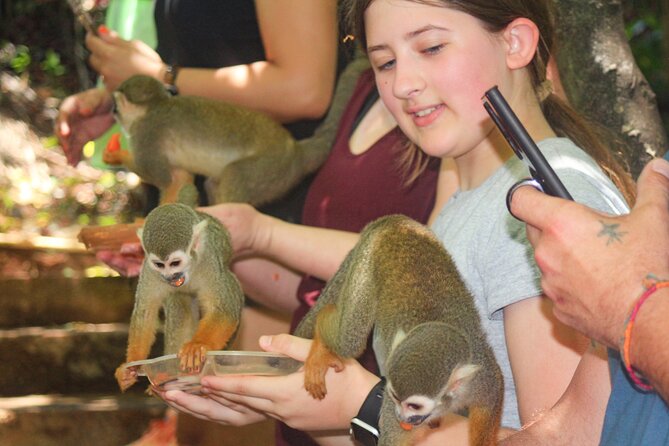 Monkey Enconter & Zip line Adventure - Is $125 a fair price?