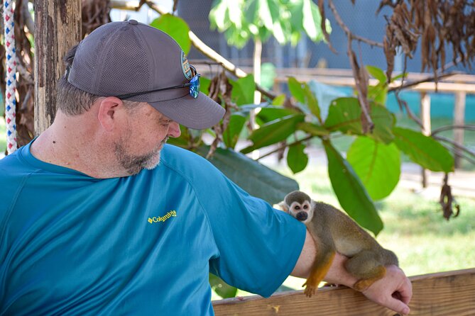 Monkey Encounter and Zip Line Tour from Amber Cove and Taino Bay - Eight ACCT-certified zip lines through the trees