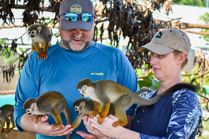 Monkey Encounter and Zip Line Tour from Amber Cove and Taino Bay - Coffee, chocolate, cigars, and a tropical bird garden