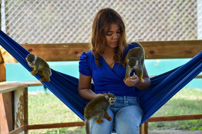 Monkey Encounter and Zip Line Tour from Amber Cove and Taino Bay - Is $124.99 good value?
