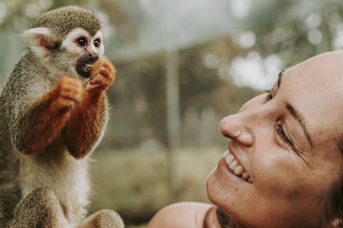 Monkey Jungle with Zip line - Key points to know before booking