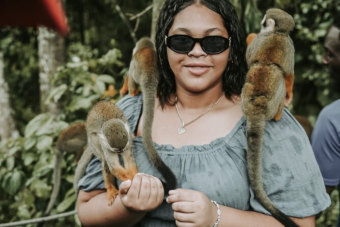 Monkey Jungle with Zip line - El Choco countryside and Paso Fino horses