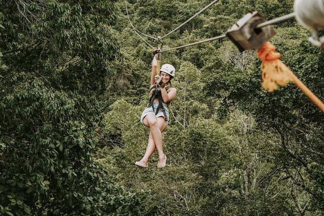 Monkey Jungle with Zip line - Seven bases of zip-line fun