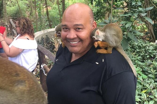 Monkey Jungle with Zip line - How the group size affects the day