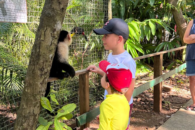 Monkey/Sloth Park + Zipline And City Tour In Roatan - Key points to know before booking