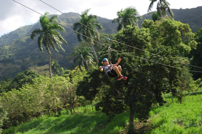 Monkeyland and Zipline Adventure from Puerto Plata - Coffee, cacao, and a taste of local life