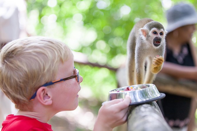 Monkeyland and Zipline Adventure from Puerto Plata - The ride from Puerto Plata to the Chocó region