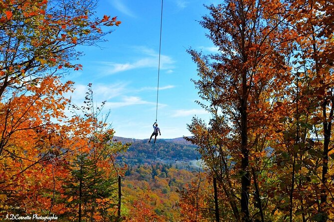 Mont-Catherine Ziplines - The first 2,100-foot run opens the course