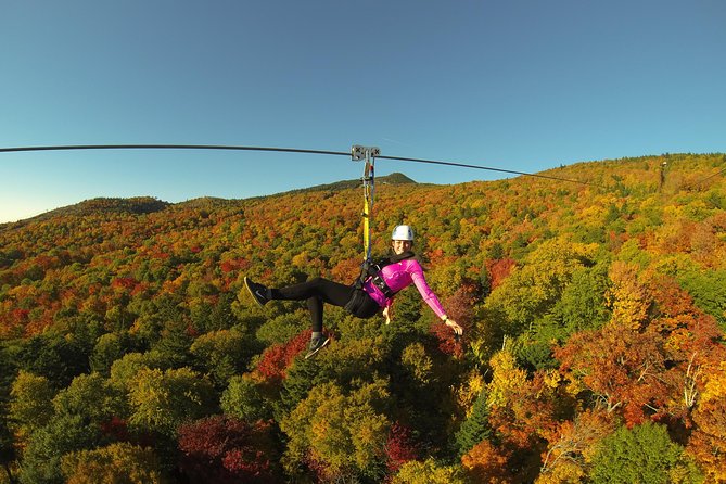 Mont Tremblant Guided Zipline Tour - What the guides add to the experience