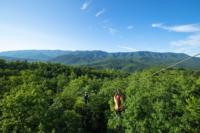 Mountaintop Zipline 2-Hours Activity - Six dual lines above the treetops