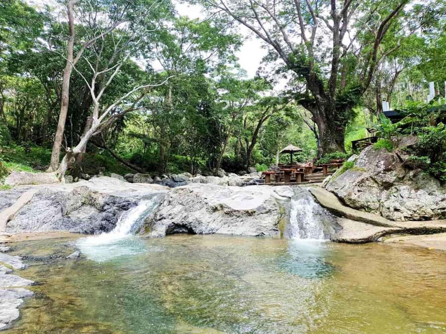 Nadi: Zipline, Waterfalls, and Jungle Safari Tour with Lunch - Seven jungle zips, from 80 to 160 meters
