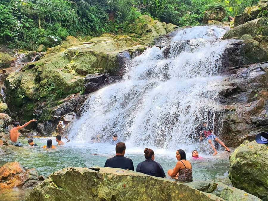 Nadi: Zipline, Waterfalls, and Jungle Safari Tour with Lunch - The rainforest walk to two waterfalls