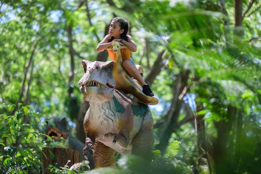 Nadi: Zipline, Waterfalls, and Jungle Safari Tour with Lunch - Who should book this Fiji adventure?