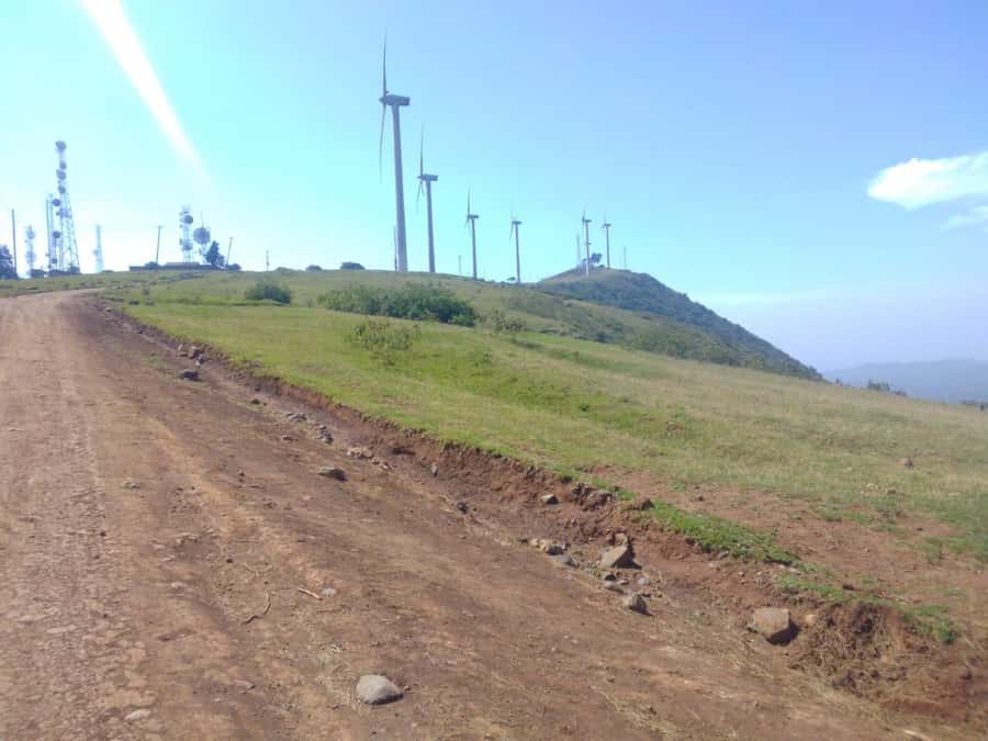 Nairobi: Ngong Hills Hiking and Zip Lining Tour - Indigenous trees and local nature along the route