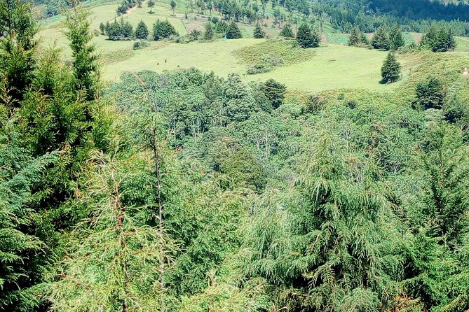 Nairobi Zip Lining Adventure Experience - Why the private guide changes the day