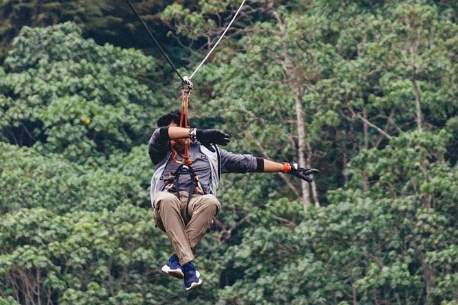 Nairobi Zip Lining Adventure Experience - Timing, pace, and practical comfort