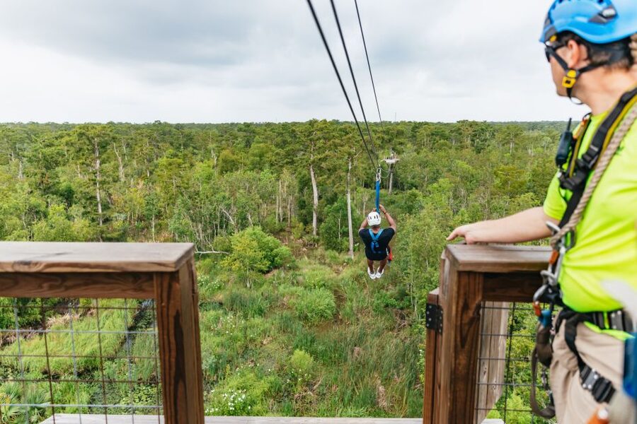 New Orleans: Swamp Zipline Tour - From New Orleans to Frenier and the Maurepas Swamp