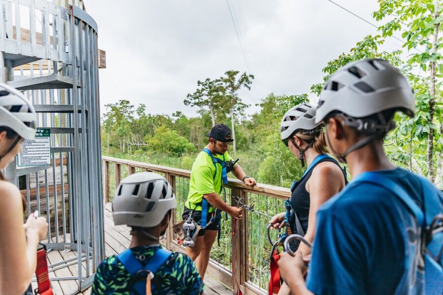 New Orleans: Swamp Zipline Tour - Five ziplines, two bridges, and a cypress staircase