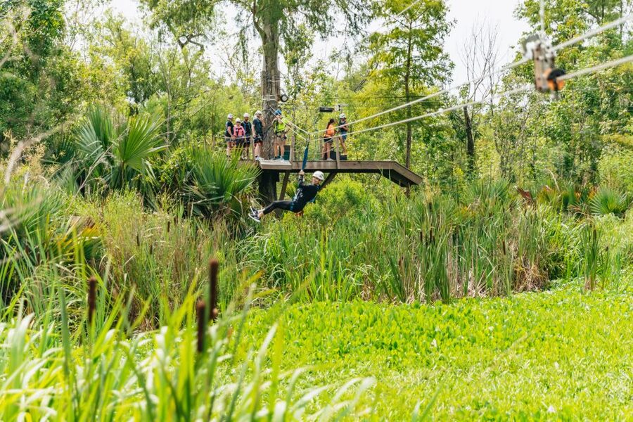 New Orleans: Swamp Zipline Tour - The guides are a major part of the experience