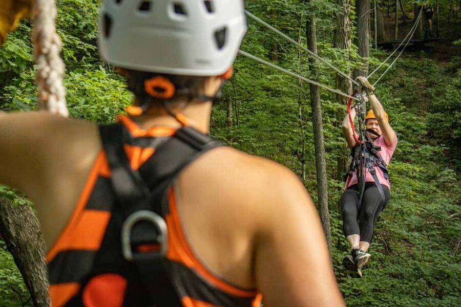 New River Gorge: TreeTops Zipline Tour - Oak, maple, and birch forest from above