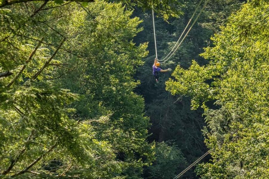 New River Gorge: TreeTops Zipline Tour - The 1,800-foot line is the payoff