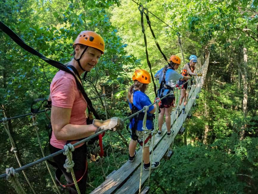 New River Gorge: TreeTops Zipline Tour - The first two ziplines ease you in