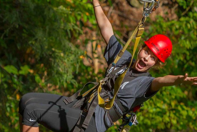 New River Gorge, WV - Zip Line Tour - Two swinging bridges change the pace