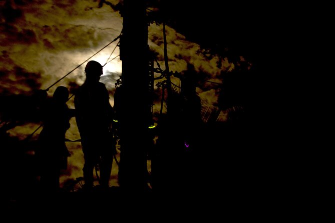 Night Zipline: 3 Zipline Adrenaline Adventure - Is $142 a fair price?