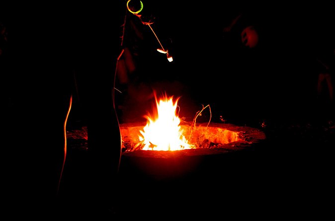 Night Zipline: 3 Zipline Adrenaline Adventure - Weather and cancellation planning