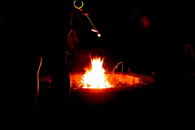 Night Zipline: 3 Zipline Adrenaline Adventure - Why darkness changes the experience