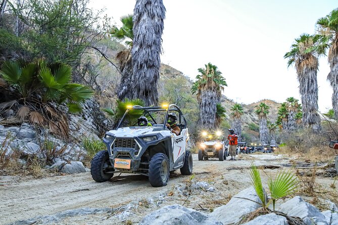 Night Ziplines & UTV Adventure + Mexican Parrillada - What the $169 price really covers