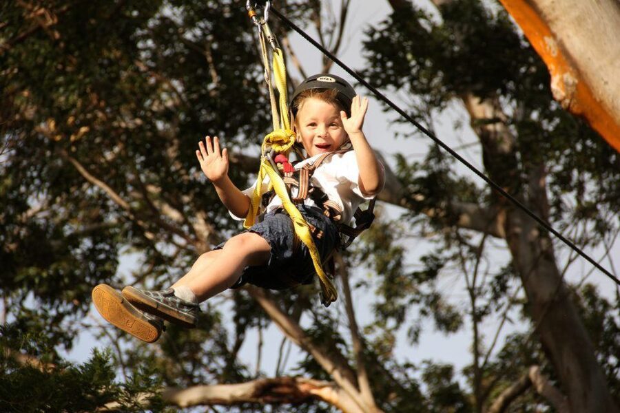 North Maui: 7 Line Zipline Adventure with Ocean Views - Who should book this North Shore adventure