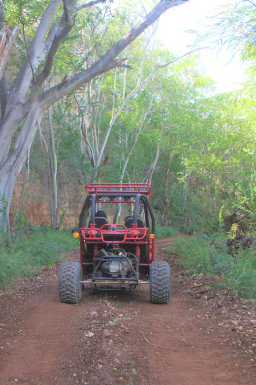 Oahu: Coral Crater Zipline and Offroad ATV Adventure - Two Hours in the Air on Six Lines