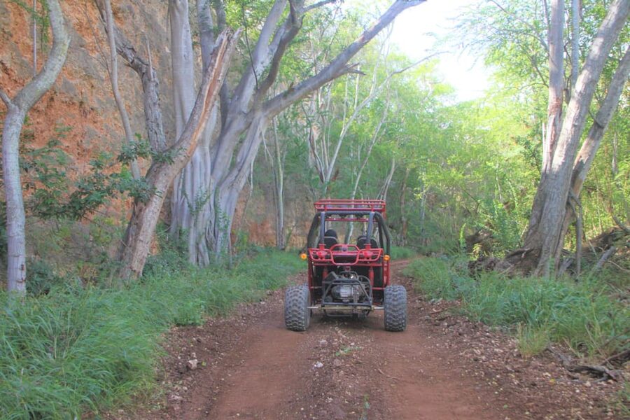 Oahu: Coral Crater Zipline and Offroad ATV Adventure - What the Timing Really Means