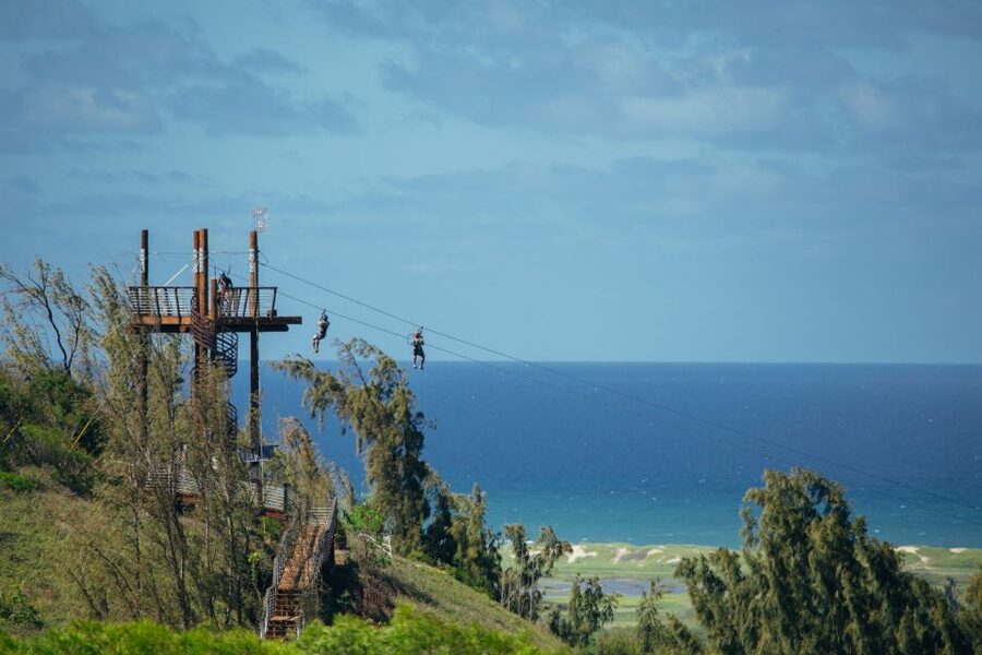 Oahu: North Shore Zip Line Adventure with ATV and Farm Tour - My recommendation for booking
