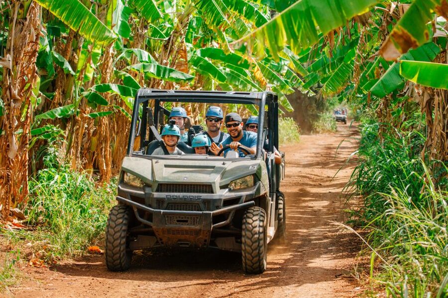 Oahu: North Shore Zip Line Adventure with ATV and Farm Tour - The scenery is the real reward
