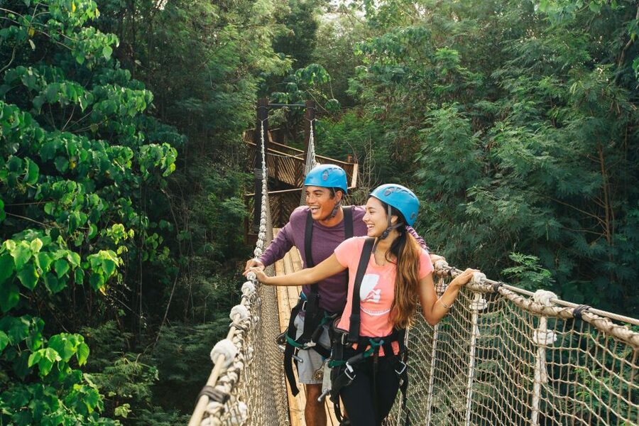 Oahu: North Shore Zip Line Adventure with ATV and Farm Tour - Eight lines with ocean views and room to ride together