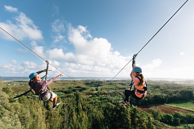 Oahu's North Shore: 8-Line Zipline Adventure - Rappels, bridges, and boardwalks between the zips