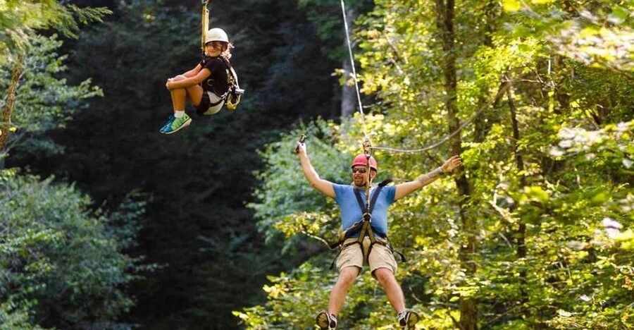 Oak Hill: Zipline Tour in New River Gorge National Park - Sky bridges slow the pace in a good way