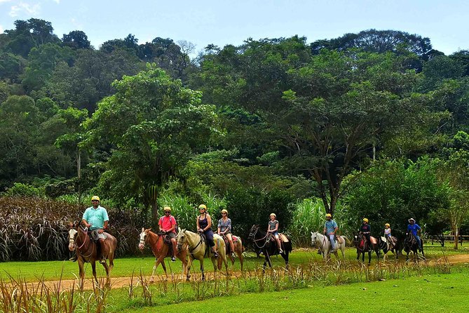 Ocean View Zip Line + Horseback Riding & Natural Pool Combo - Starting above the Central Pacific forest