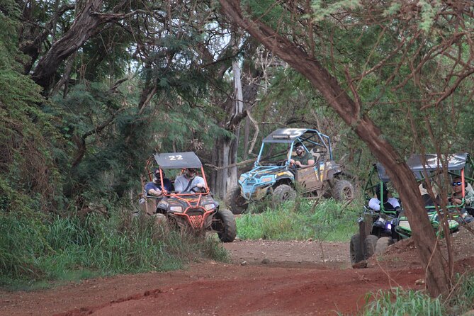 Off-Road ATV & 3 Zipline Combo (Optional Waikiki Shuttle) - Waikiki pickup and the timing of the day