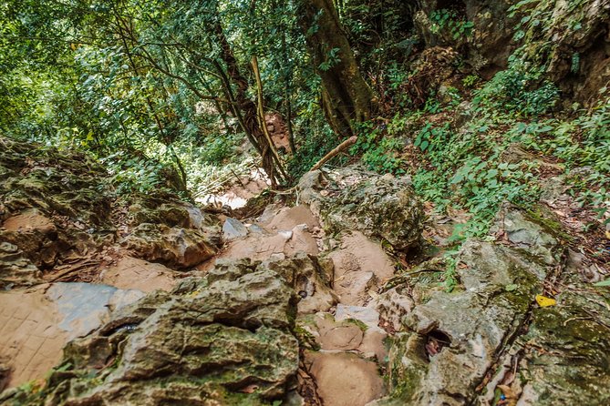 One Day Guided Tour: Kayaking, Zipline & Tubing In The Cave from Vang Vieng - Tubing and the change from river to cave