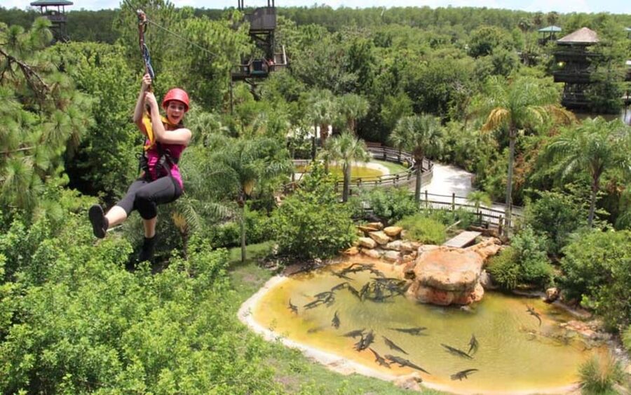 Orlando: Gatorland Zipline Adventure w/ Full-Day Park Access - Flying above Gatorland’s crocodiles