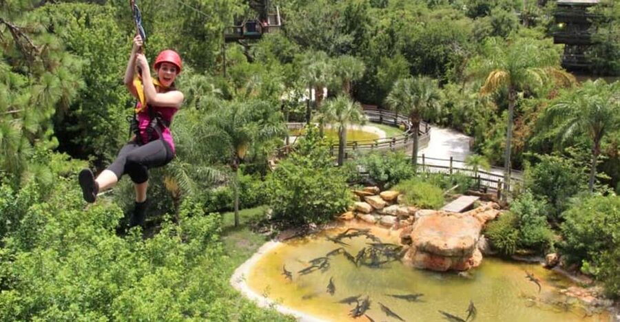 Orlando: Gatorland Zipline Adventure w/ Full-Day Park Access - Five zip lines, from 230 feet to more than 500