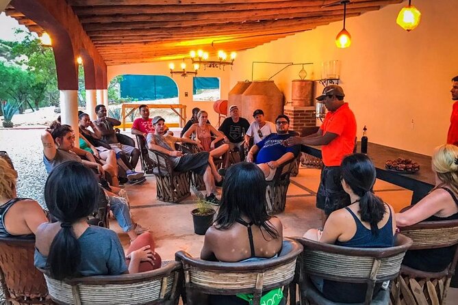 Outdoor and Zipline Adventure in Baja California - Timing, weather, and cancellation rules